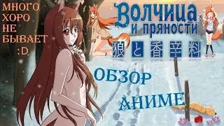 Волчица и пряности (Spice and Wolf). Обзор аниме