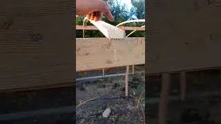 большая теплица бюджетно