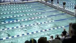 Caeleb Dressel's 17.63 second 50yard freestyle in slow motion!