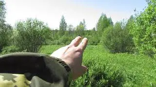 Находки поразили! Нереально красивое место!