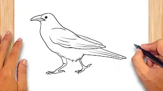 How to draw Crow
