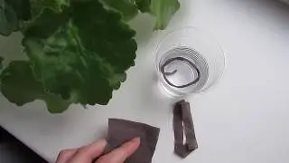 ФИТИЛЬ ДЛЯ ФИАЛОК! ПРИЧИНЫ ЗАМОКАНИЯ ФИАЛКИ !