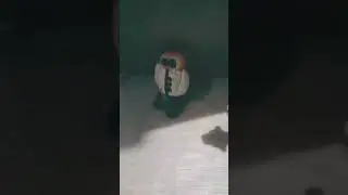 Rambow Skibidi 1