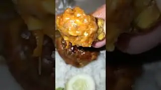 BEBEK YANG TERANIAYA 