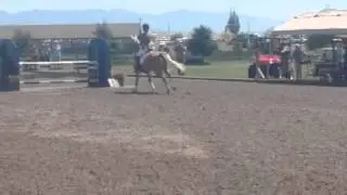 Sunny Emily training at Rebecca 2014