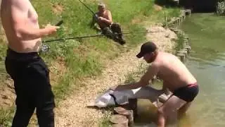 золотая рыбка!!!!Всем бы такую!!!!