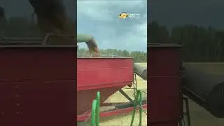 😅 А у тебя такое было? 