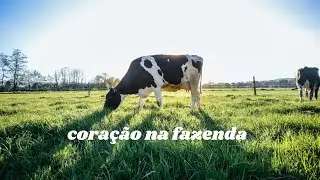 Coração na fazenda / Sweethearts – Track Tribe