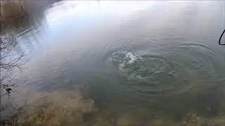 Огромная щука на SAVAGE GEAR 3d river roash