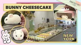 🐇 Bunny Cheesecake AnnTremet Bakery - AnnTremet Cake NYC | November 2023 | NYC VLOG