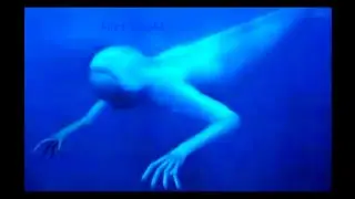 Top 5 mermaid sightings caught on cam