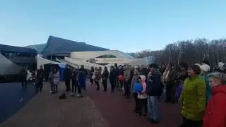 Праздник большой рыбы. Янтарь холл