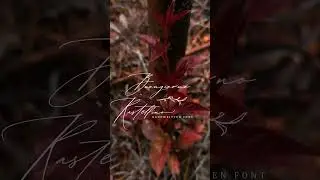 Font Cyrillic #шрифт #short #shortvideo #Shorts #cozy #autumn #font