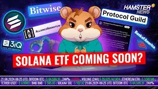 Solana ETF Approval, Bitcoin's $1M Prediction, Illegal cryptocurrency exchange | Hamster News