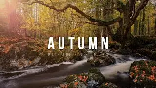 Autumn LANDSCAPE PHOTOGRAPHY Vlog