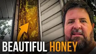 Southern Beekeeping, The Finer Side
