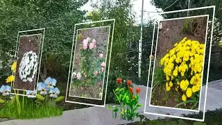 ОСЕННИЙ САД, ПОСЛЕДНИЕ ОСЕННИЕ ЦВЕТЫ