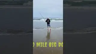 #fishing #bigsurf #90milebeach #snapper #shorts