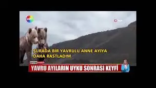 Çektiğim görüntüler tv ekranlarında. #vahşidoğa #yabanhayatı #şowtv