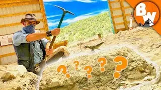 Digging Up Jurassic Treasure!