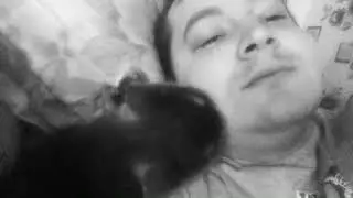 #утренние #нежности #котика Не смешные приколы