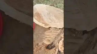 carving test with tools on blackwalnut