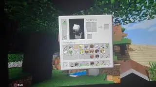 Minecraft pt.4 || completing the house!!