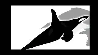 AirCraft Killer whale Vs Livyatan Melville