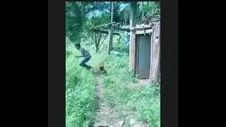 Power Of Chicken. Whole world is scare of. 