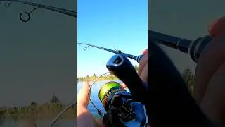 😱 Рыбалка в Зоне БОЕВЫХ... Ожидать Можно Всего ! #shorts #война #рыбалка