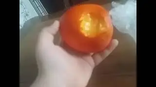 My food