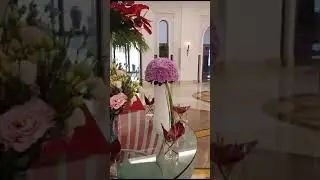 ОАЭ, Аджман, Bahi Palace 5*, 12.04.24 - 17.04.24.