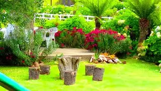 Ideias de paisagismo simples para chácaras e sítios