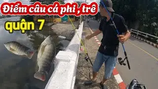 Trải nghiệm điểm câu cá thiên nhiên cá phi , cá trê như cá nuôi ! phiêu xứ dừa