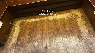 Pallmann Scrubber for cleaning Wood Floors Ultimate Floor Care UK