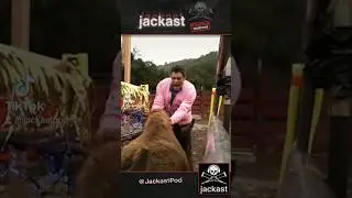 Johnny Knoxville's Roller Buffalo #Jackass #JohnnyKnoxville #comedy