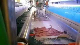 CARPET CLEANİNG MACHİNE... www.misyonmakine.com