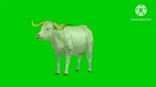 cow animation greenscreen