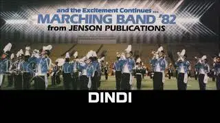 1 3．DINDI