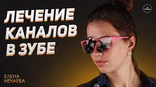Нечаева Елена. Видео-визитка специалиста.