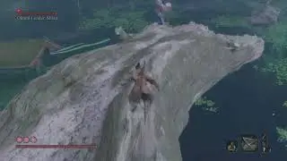 Sekiro: Shadows Die Twice - Okami Leader Shizu