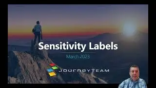 What are Microsoft Purview Sensitivity Labels?