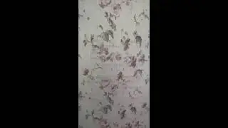 Счастливый кондитер в прямом эфире!