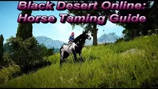 BDO: Horse Taming Guide - Locations