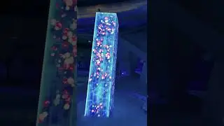 World's largest indoor ice and snow theme park #shorts