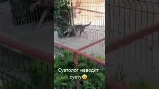 #детки #любовь #счастье #крым #природа