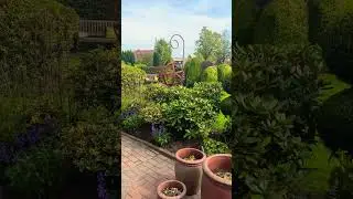 Эпизоды посещения красивого сада🌟 Schöne Gärten 🌟