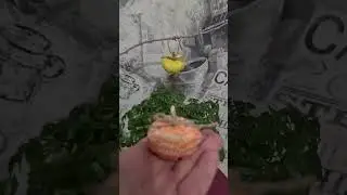 тыквы своими руками. Вяжем и декорируем свой дом