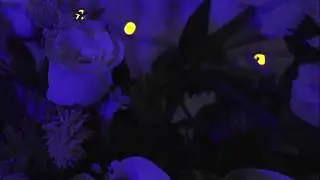 Voces Muertas Teaser