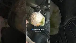 Tumis Tahu Toge Sawi #vlog #cooking